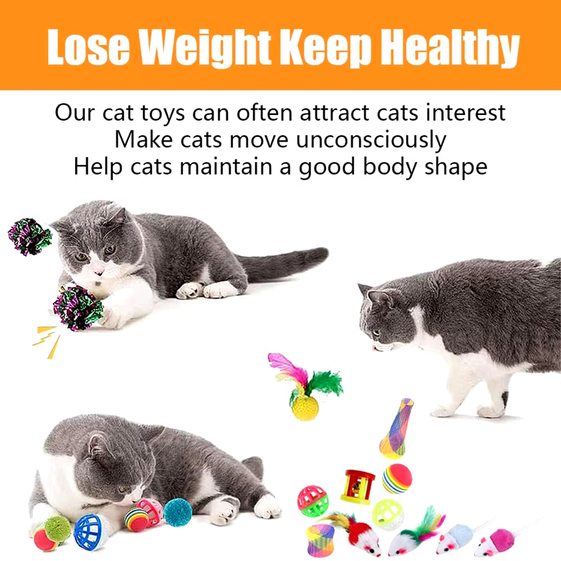 22 Pcs Cat Toys Interactive for Indoor Cats