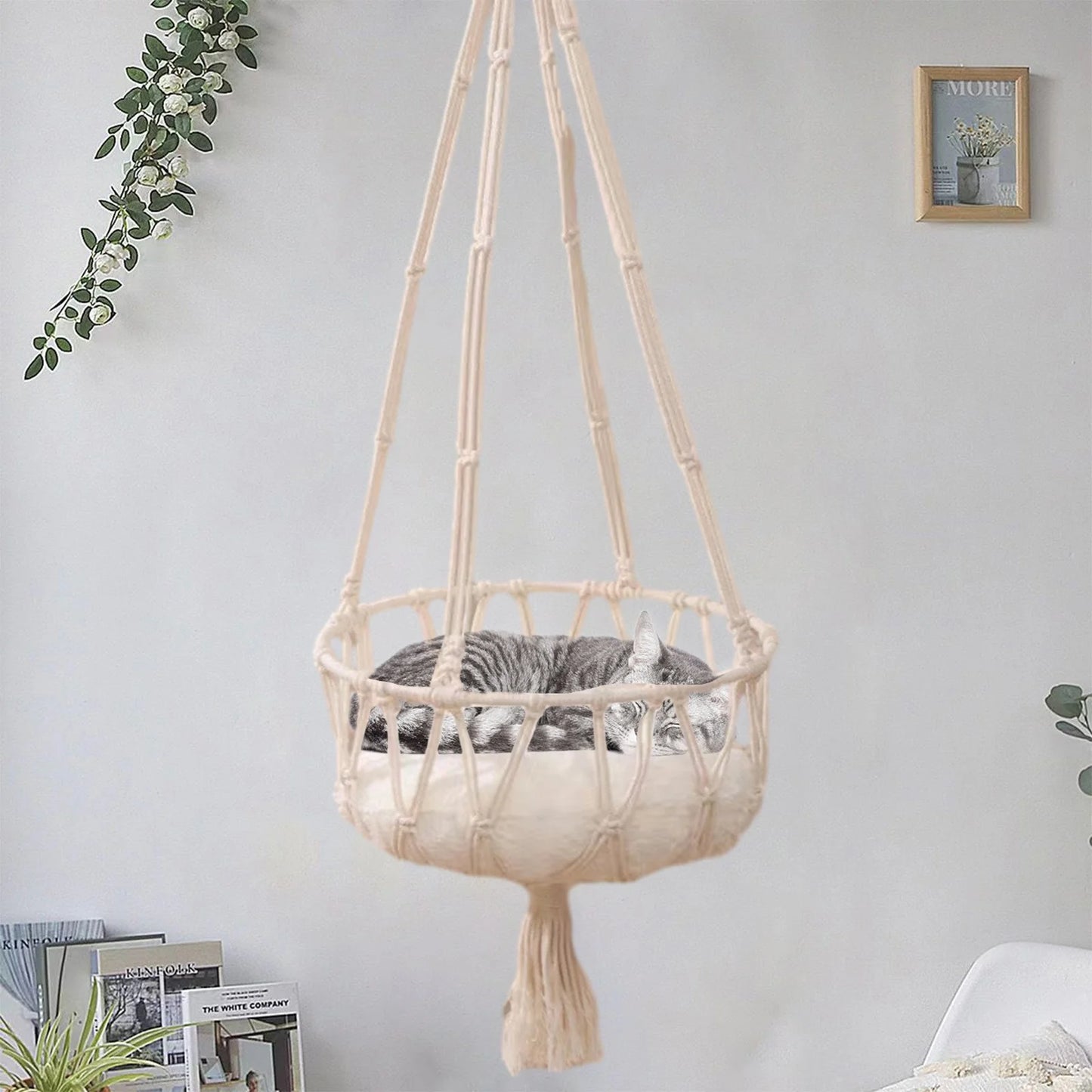 Cats Bed Cats Hammocks Window Perches Safe Cats Shelves