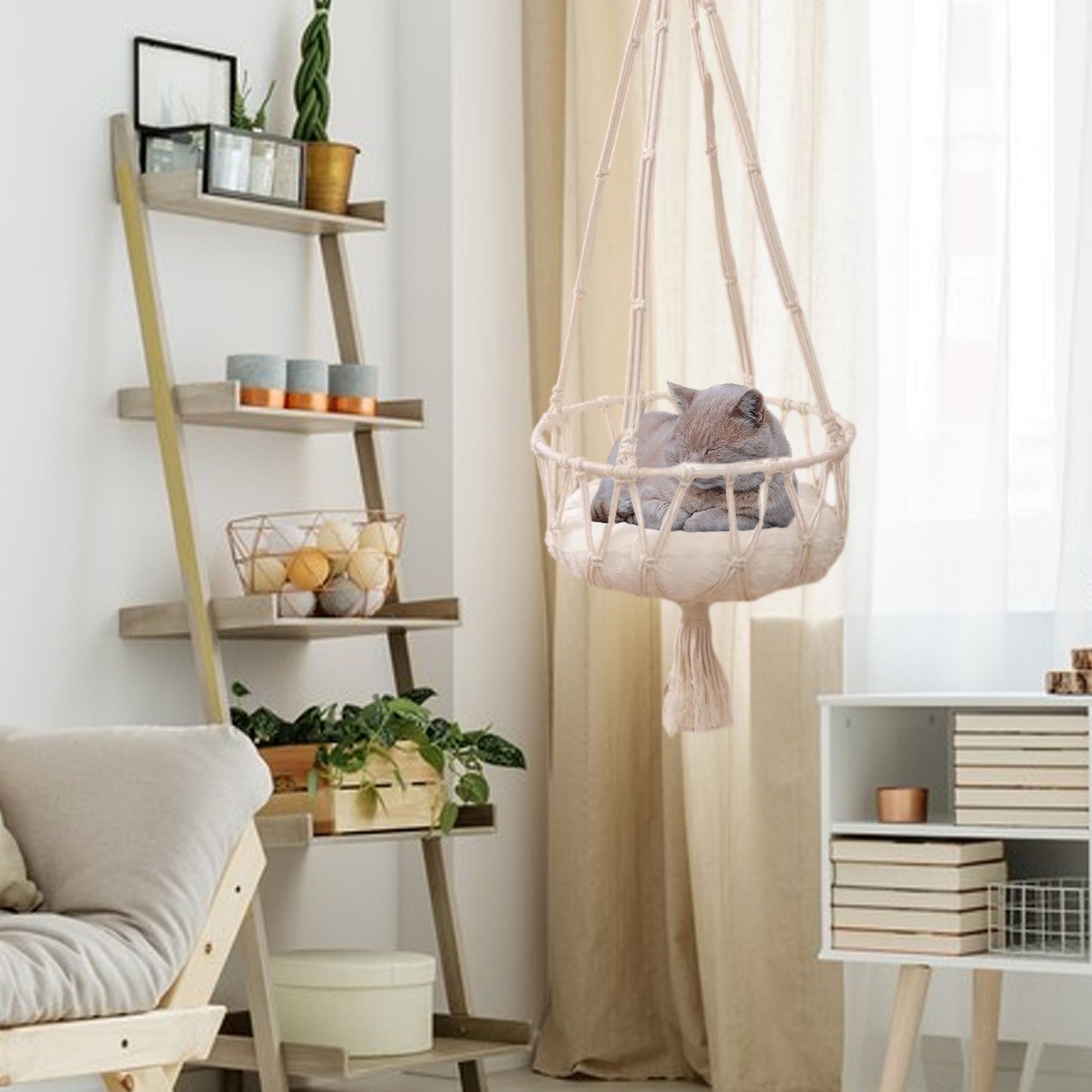 Cats Bed Cats Hammocks Window Perches Safe Cats Shelves