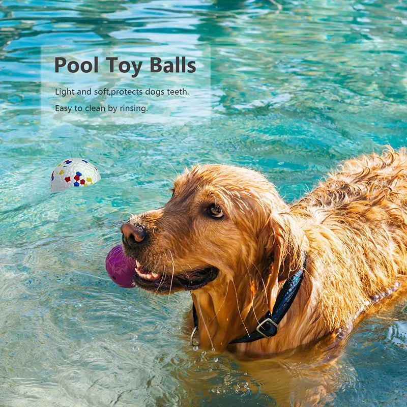 Bite Resistant Solid Dog Ball Toys for Small Large Dogs High Elasticity