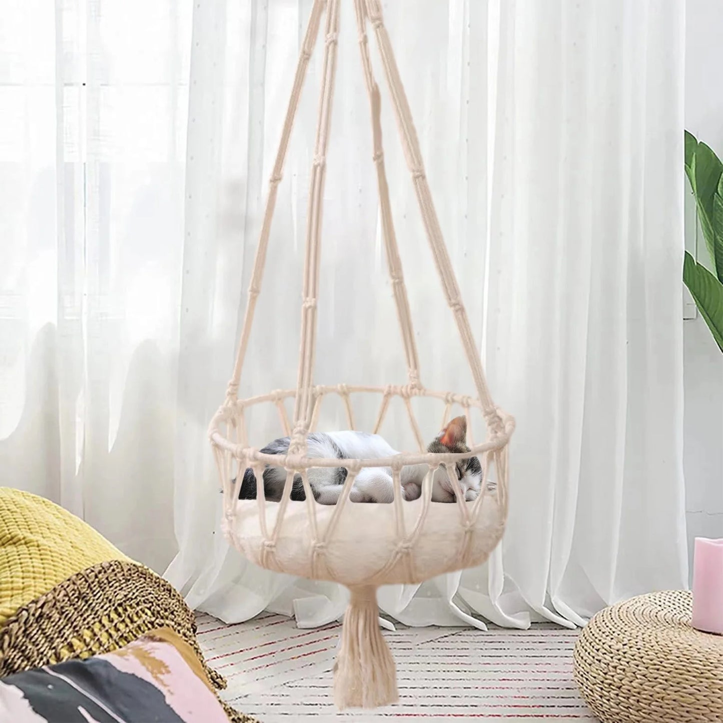 Cats Bed Cats Hammocks Window Perches Safe Cats Shelves
