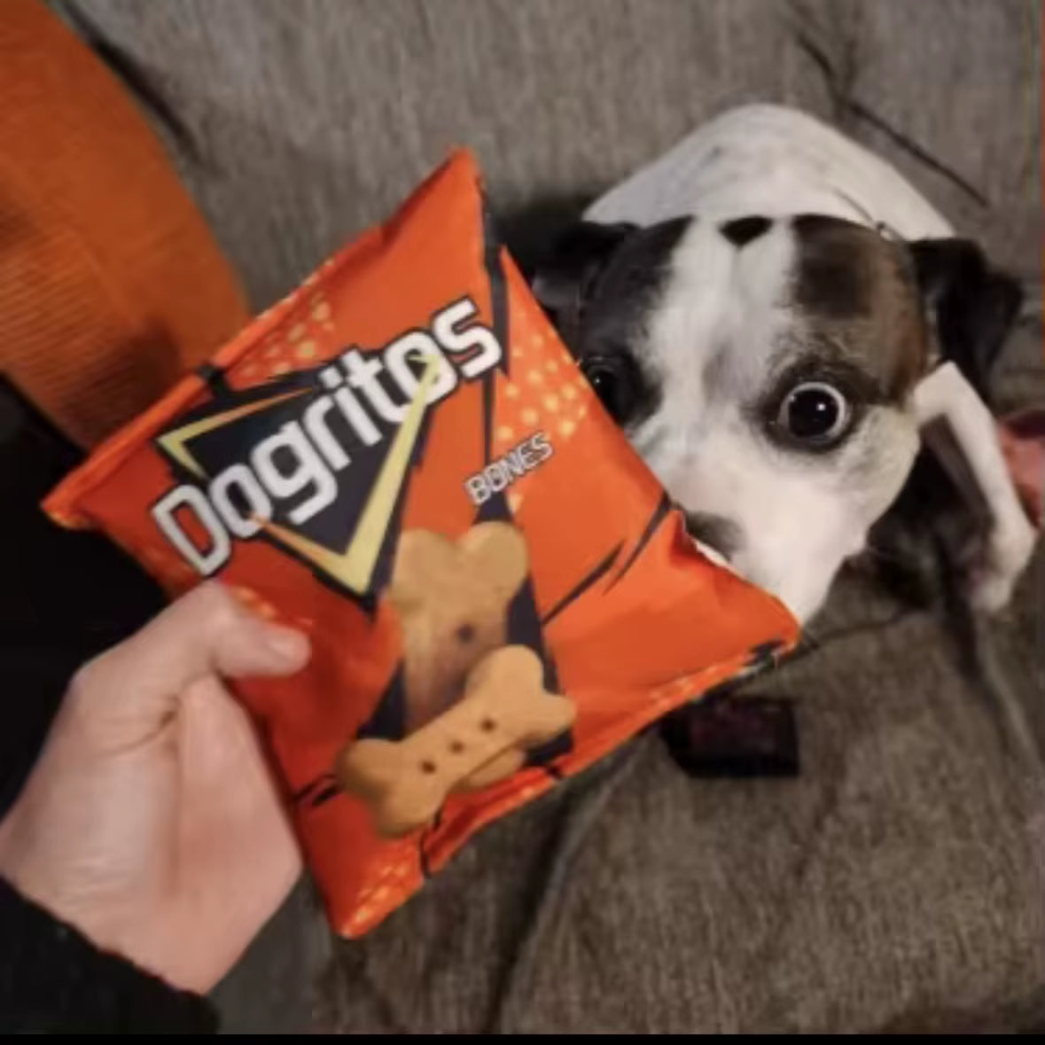 Funny Crisps Dog Toys Interaction Chew Molars Plush Dog Toys Bite Resistance