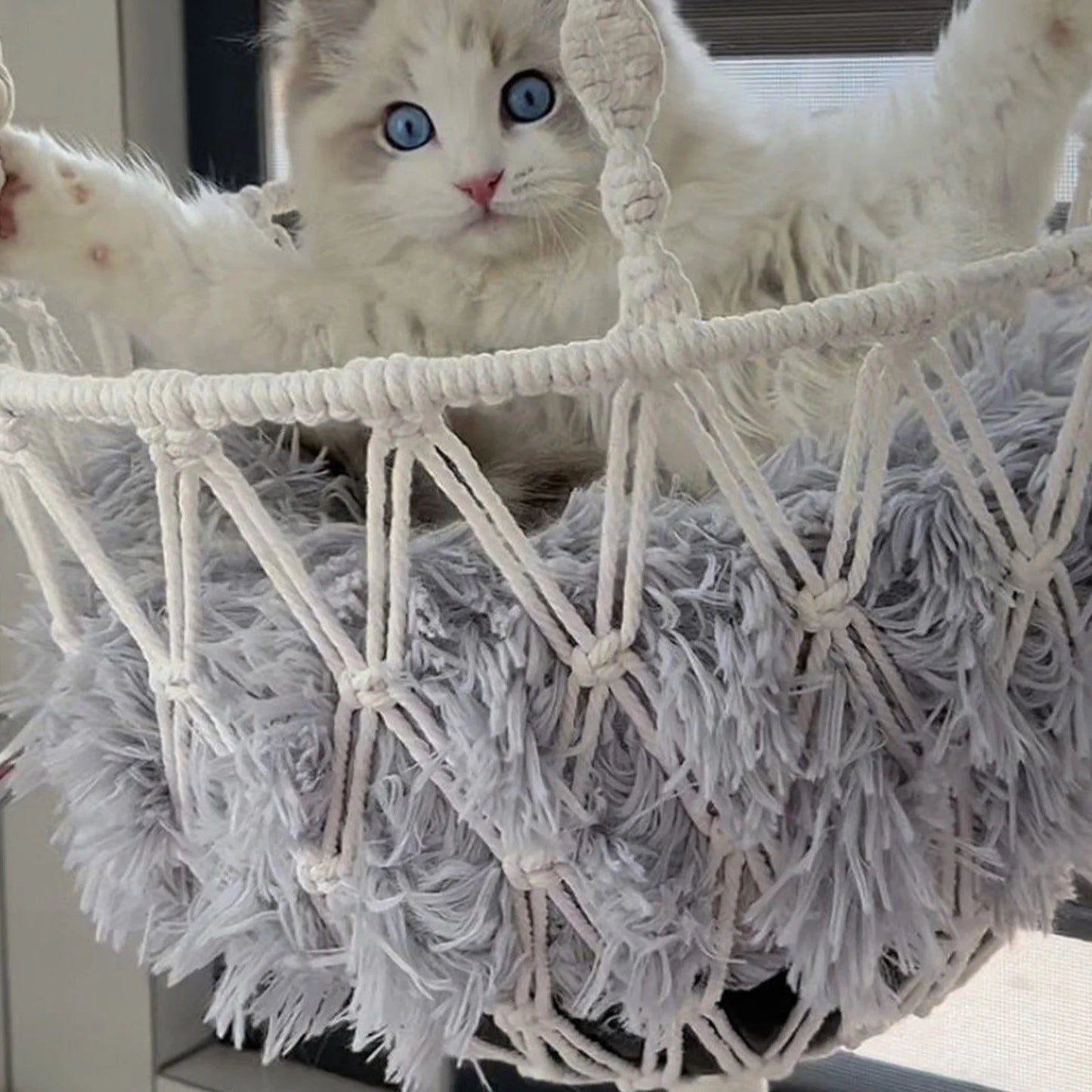 Cats Bed Cats Hammocks Window Perches Safe Cats Shelves