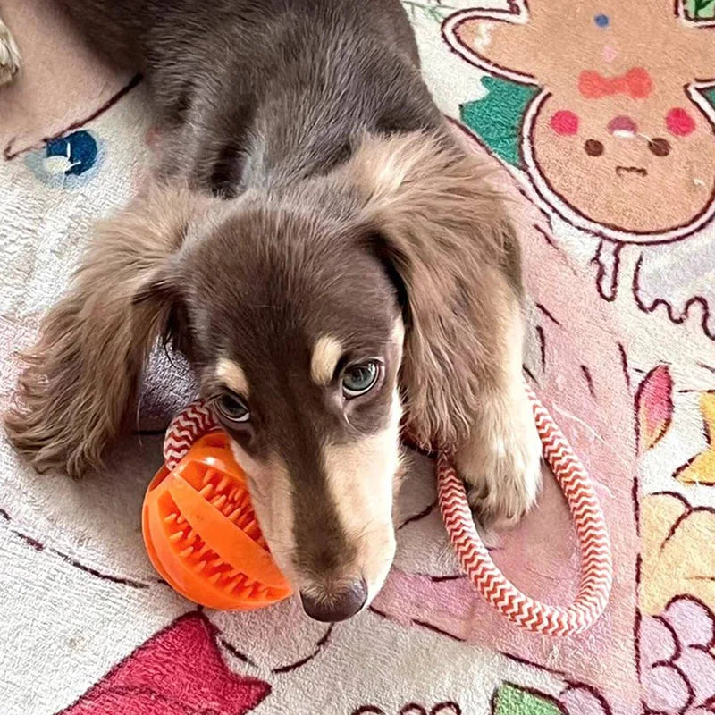 Balls Interactive Treat Rope Rubber Leaking Balls Chewing Bite Resistant Pet Tooth Cleaning