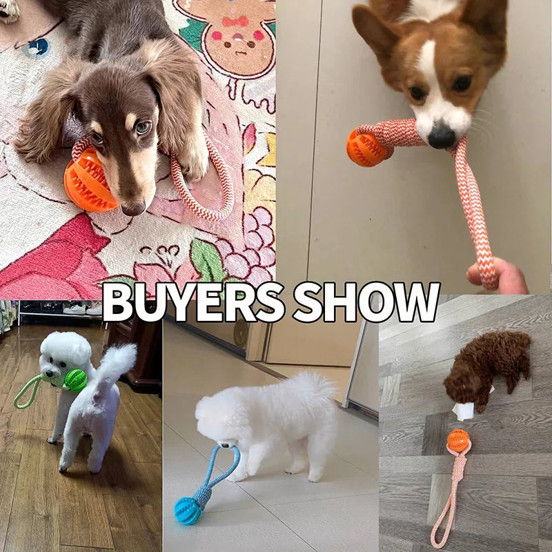 Balls Interactive Treat Rope Rubber Leaking Balls Chewing Bite Resistant Pet Tooth Cleaning