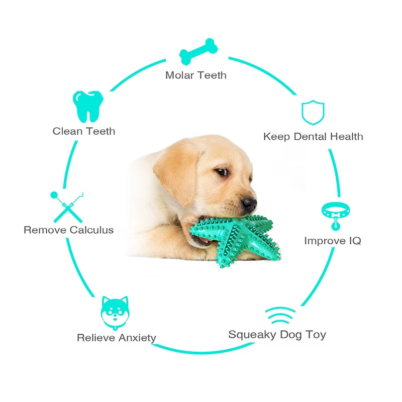 Dog Toys for Large Dogs Tooth Cleaning Chew Funny Interactive Training Starfish
