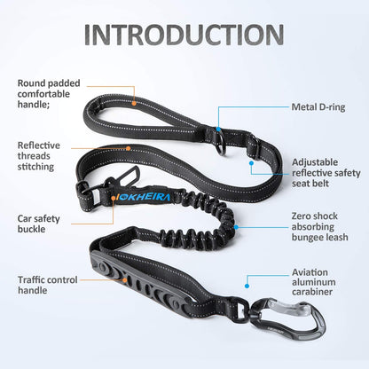 Multifunctional Leash with Car Seatbelt 