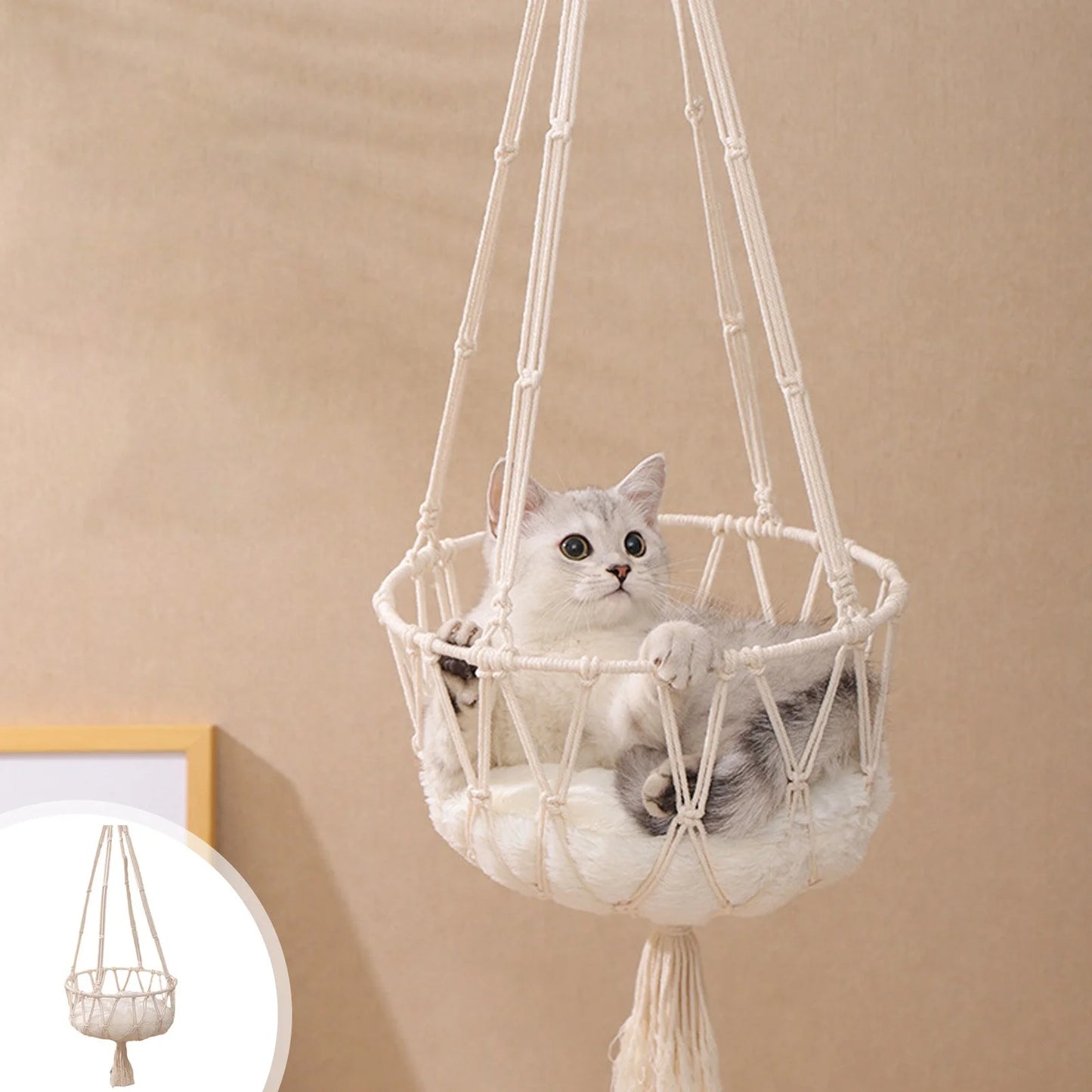 Cats Bed Cats Hammocks Window Perches Safe Cats Shelves 