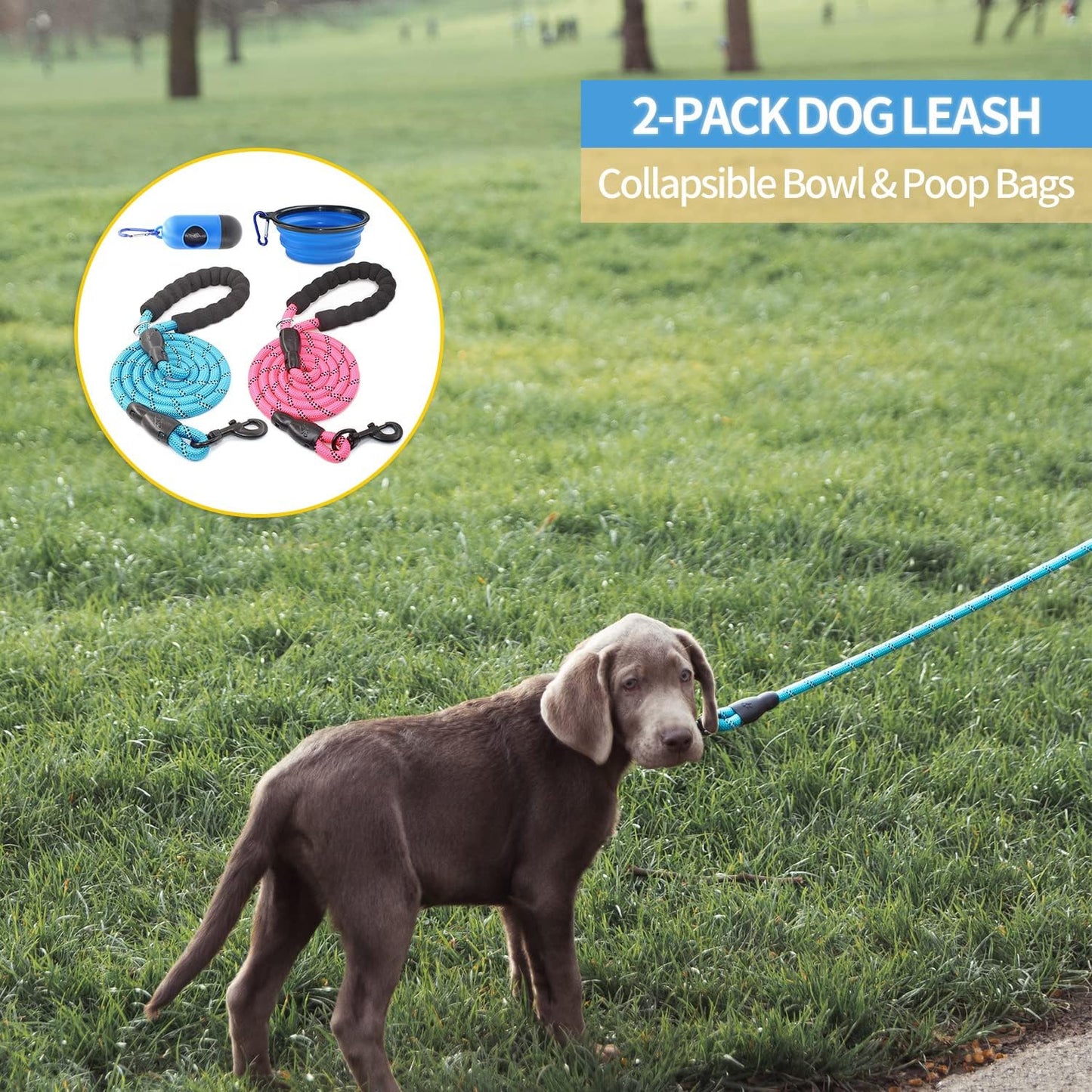 2 Packs 5/6 FT Dog Leash with Comfortable Padded Handle 