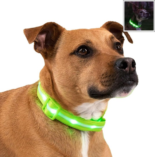 ' Safety LED Dog Collar – USB Rechargeable with Water Resistant Flashing Light