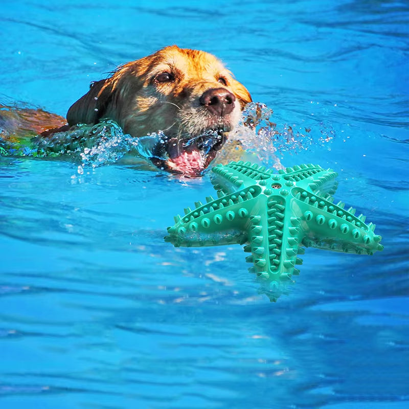 Dog Toys for Large Dogs Tooth Cleaning Chew Funny Interactive Training Starfish 