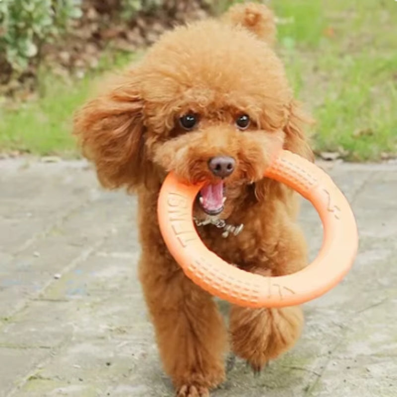 Orange Dog Toys Pet Flying Disk Training Ring Puller EVA Interactive Training 