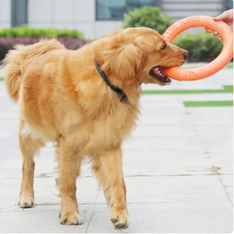 Orange Dog Toys Pet Flying Disk Training Ring Puller EVA Interactive Training 