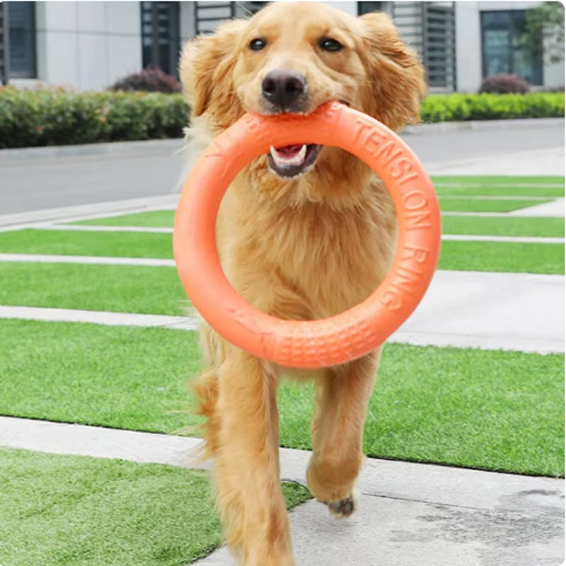 Orange Dog Toys Pet Flying Disk Training Ring Puller EVA Interactive Training 